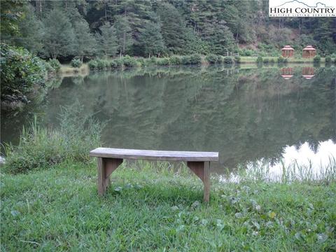 1074 Pepper Bush Rd, Purlear, NC 28665 photo 41