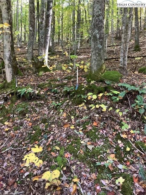 110 Arrowhead Rd, Beech Mountain, NC 28604 photo 8