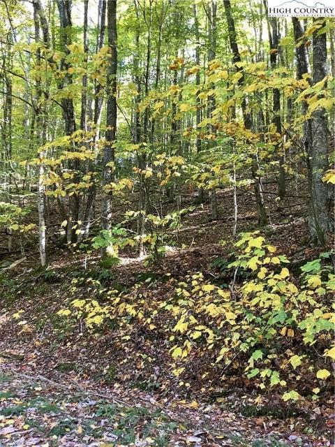 110 Arrowhead Rd, Beech Mountain, NC 28604 photo 1