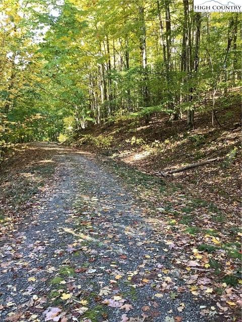 110 Arrowhead Rd, Beech Mountain, NC 28604 photo 7