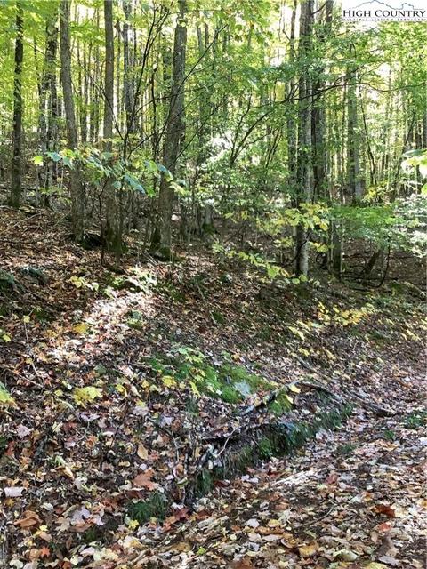 110 Arrowhead Rd, Beech Mountain, NC 28604 photo 3