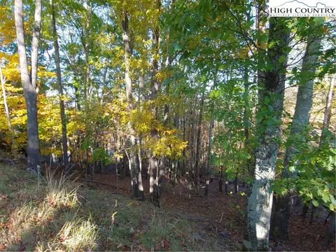 462 Saint Andrews Rd, Beech Mountain, NC 28604 photo 2