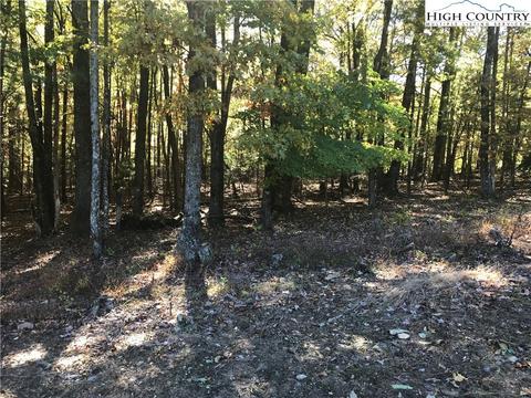 1307 Ben Miller Rd, Deep Gap, NC 28618 photo 26