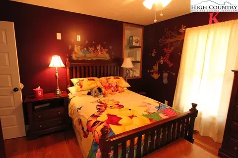931 Graystone Rd, Independence, VA 24348 photo 19