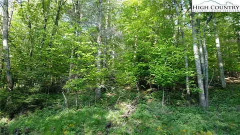 212 Lake Rd, Beech Mountain, NC 28604 photo 4