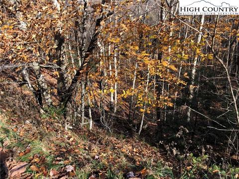 415 Lake Rd, Beech Mountain, NC 28604 photo 1