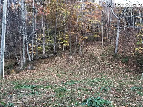 3017 Three Top Rd, Creston, NC 28615 photo 19