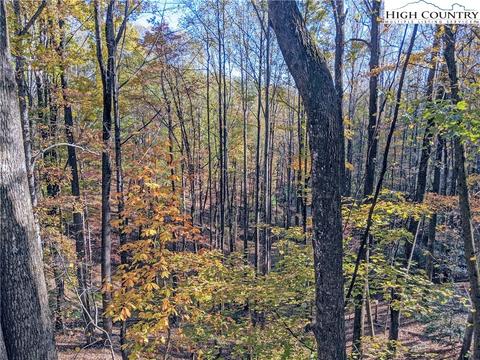 751 Horse Shoe Ridge E Rd, Deep Gap, NC 28618 photo 20