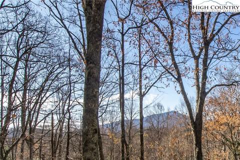 314 High Willhays, Boone, NC 28607 photo 14