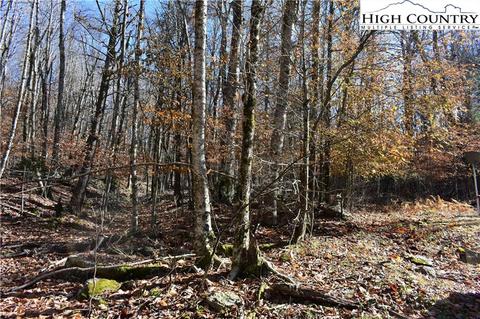 105 White Pine Ln, Beech Mountain, NC 28604 photo 9