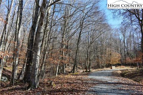 105 White Pine Ln, Beech Mountain, NC 28604 photo 13
