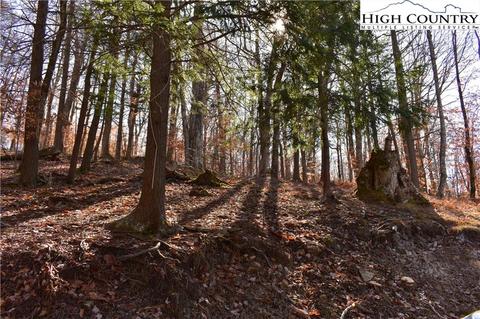 105 White Pine Ln, Beech Mountain, NC 28604 photo 8