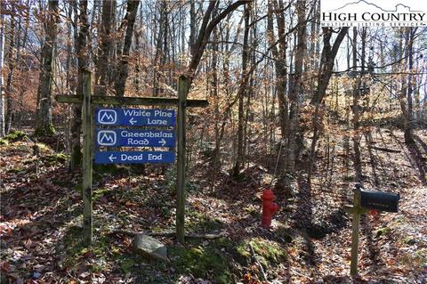 105 White Pine Ln, Beech Mountain, NC 28604 photo 12