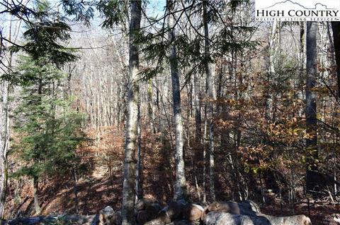 105 White Pine Ln, Beech Mountain, NC 28604 photo 2