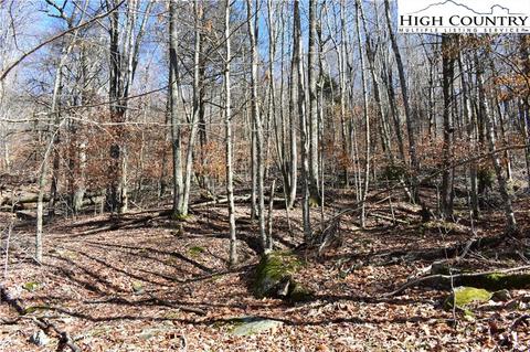 105 White Pine Ln, Beech Mountain, NC 28604 photo 11