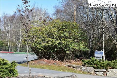 105 White Pine Ln, Beech Mountain, NC 28604 photo 15