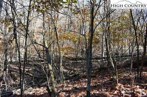 105 White Pine Ln, Beech Mountain, NC 28604 photo 5