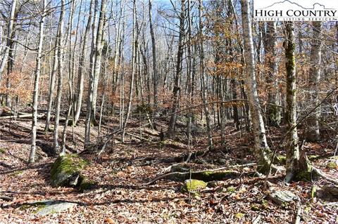 105 White Pine Ln, Beech Mountain, NC 28604 photo 10