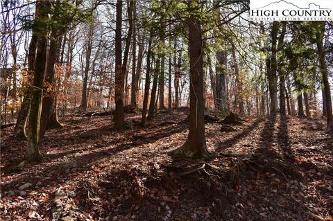 105 White Pine Ln, Beech Mountain, NC 28604 photo 7