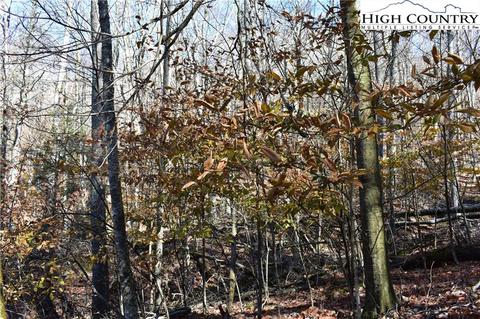 105 White Pine Ln, Beech Mountain, NC 28604 photo 4