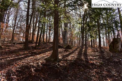 105 White Pine Ln, Beech Mountain, NC 28604 photo 6