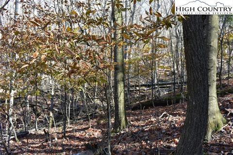 105 White Pine Ln, Beech Mountain, NC 28604 photo 3