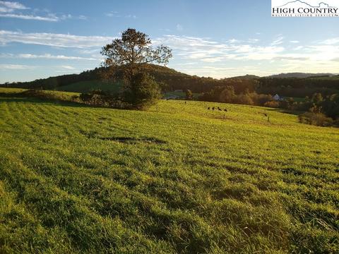 tbd Crestview Mountain Dr, Ennice, NC 28623 photo 10