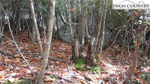 132 Teaberry Trl, Beech Mountain, NC 28604 photo 3