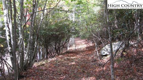 132 Teaberry Trl, Beech Mountain, NC 28604 photo 2