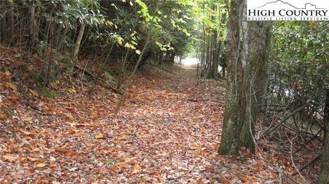 132 Teaberry Trl, Beech Mountain, NC 28604 photo 1