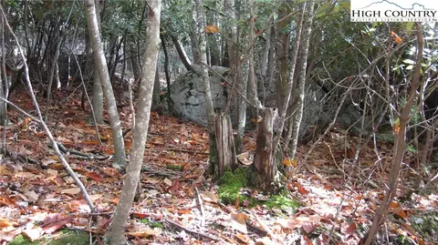 132 Teaberry Trl, Beech Mountain, NC 28604 photo 3