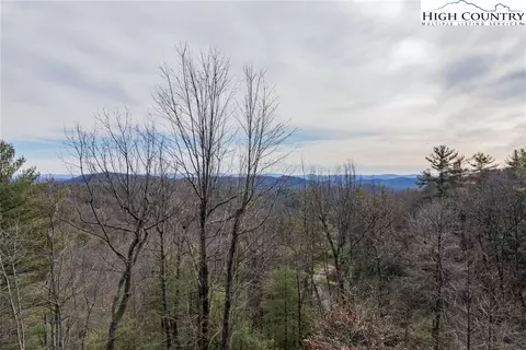 4091 Staghorn Rd, Purlear, NC 28665 photo 2
