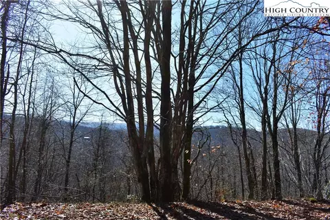 114 Sassafrass Rd, Beech Mountain, NC 28604 photo 5