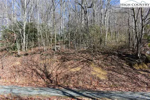 114 Sassafrass Rd, Beech Mountain, NC 28604 photo 1