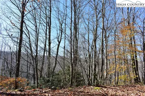 114 Sassafrass Rd, Beech Mountain, NC 28604 photo 4