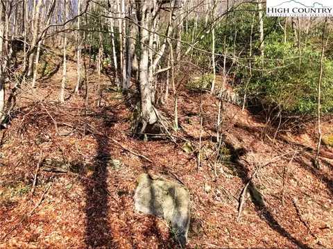109 Smoketree Rd, Beech Mountain, NC 28604 photo 3