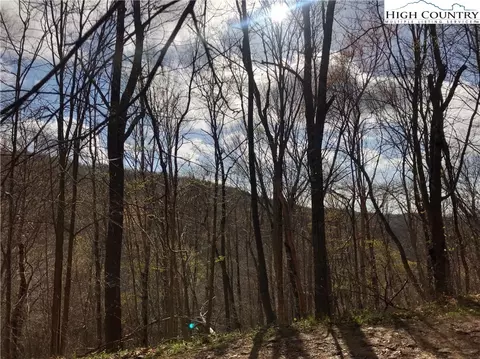 109 Smoketree Rd, Beech Mountain, NC 28604 photo 1
