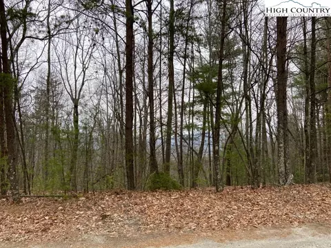 250 Doe Run, Purlear, NC 28665 photo 32