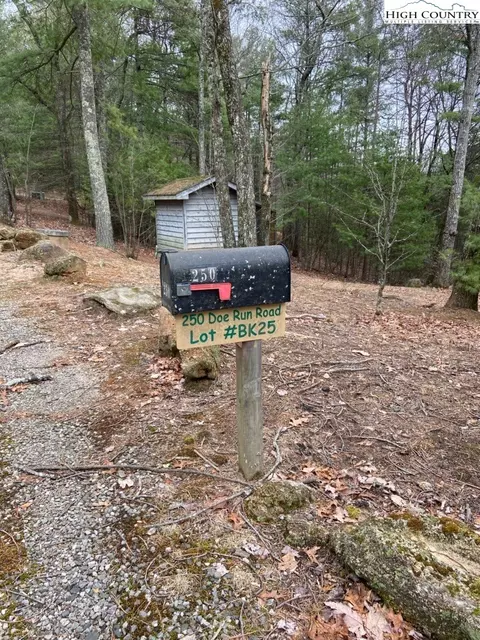 250 Doe Run, Purlear, NC 28665 photo 3