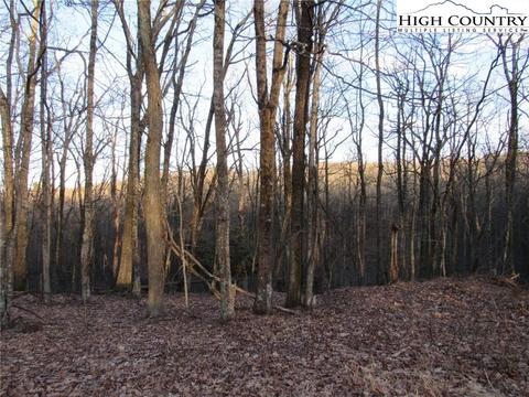 24 Deer Park Lane, Sparta, NC 28675