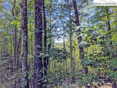 266 Laurel Cir, Deep Gap, NC 28618 photo 30