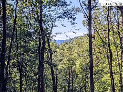 266 Laurel Cir, Deep Gap, NC 28618 photo 2