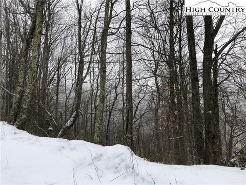 142 Lower Snowbird Rd, Beech Mountain, NC 28604 photo 2