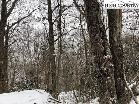 142 Lower Snowbird Rd, Beech Mountain, NC 28604 photo 1