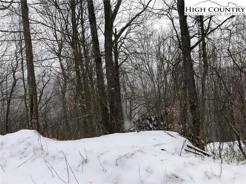 142 Lower Snowbird Rd, Beech Mountain, NC 28604 photo 3