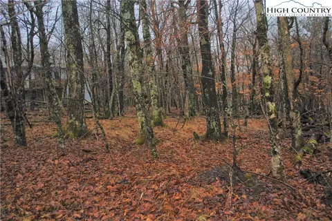 108 N Pinnacle Ridge Rd, Beech Mountain, NC 28604 photo 7