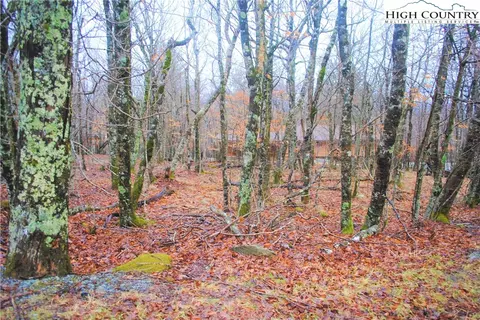 108 N Pinnacle Ridge Rd, Beech Mountain, NC 28604 photo 2