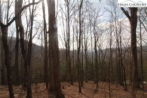 2970 Bear Wallow Rd, Lansing, NC 28643 photo 13