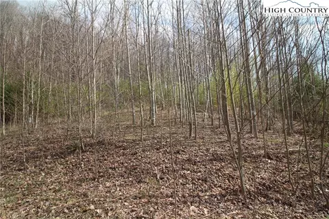 2970 Bear Wallow Rd, Lansing, NC 28643 photo 3