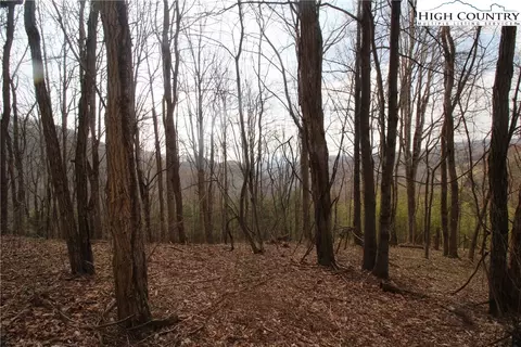2970 Bear Wallow Rd, Lansing, NC 28643 photo 12
